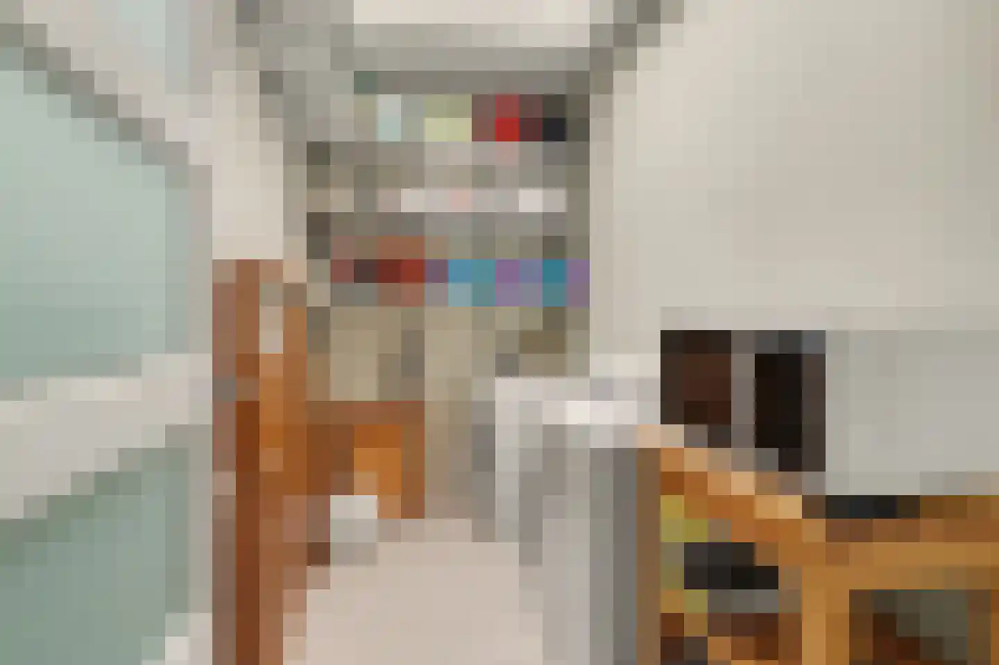 Kasteellaan 20 Oudheusden thumbnail 11