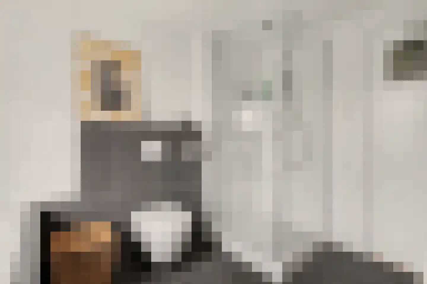 Kasteellaan 20 Oudheusden thumbnail 17