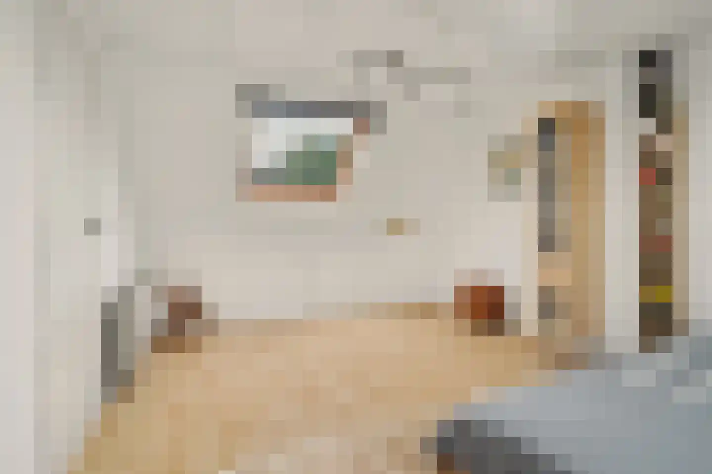 Kasteellaan 20 Oudheusden thumbnail 25