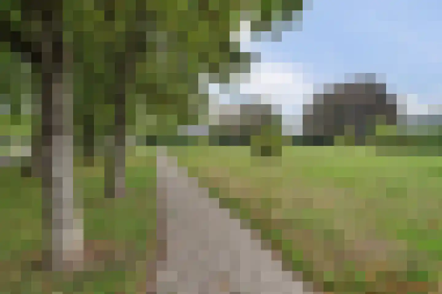 Kasteellaan 20 Oudheusden thumbnail 36