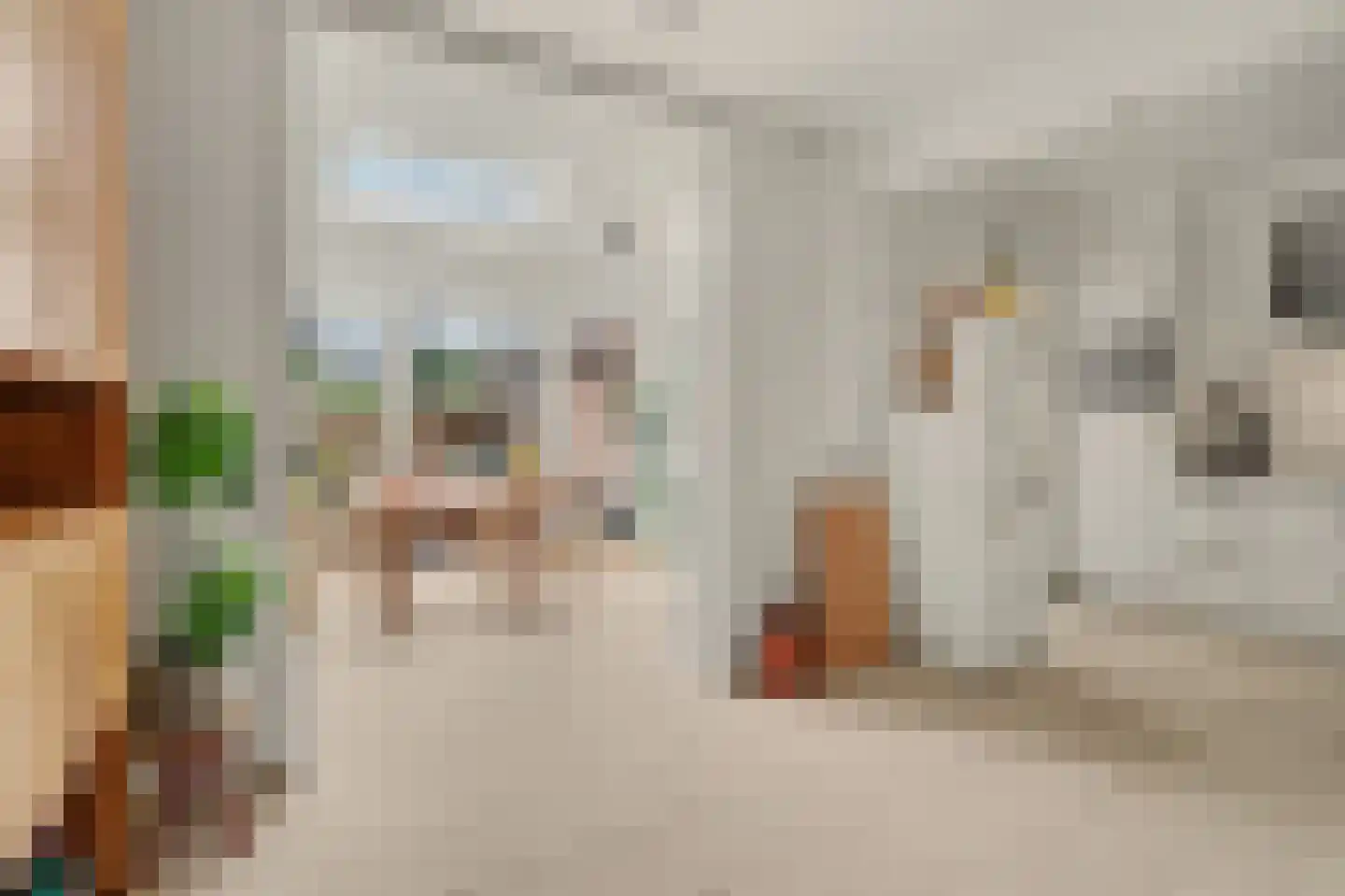 Kasteellaan 20 Oudheusden thumbnail 8