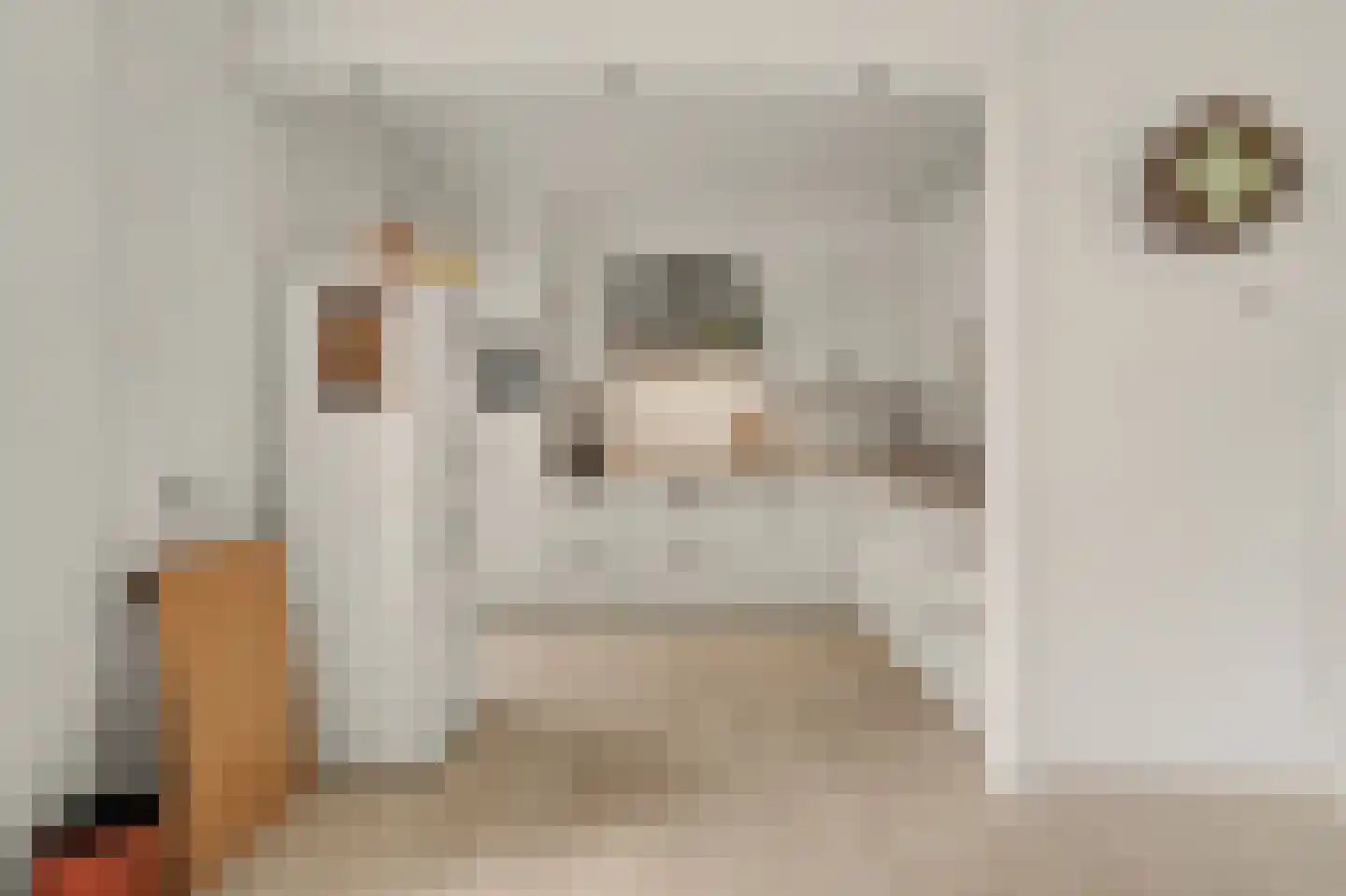 Kasteellaan 20 Oudheusden thumbnail 9