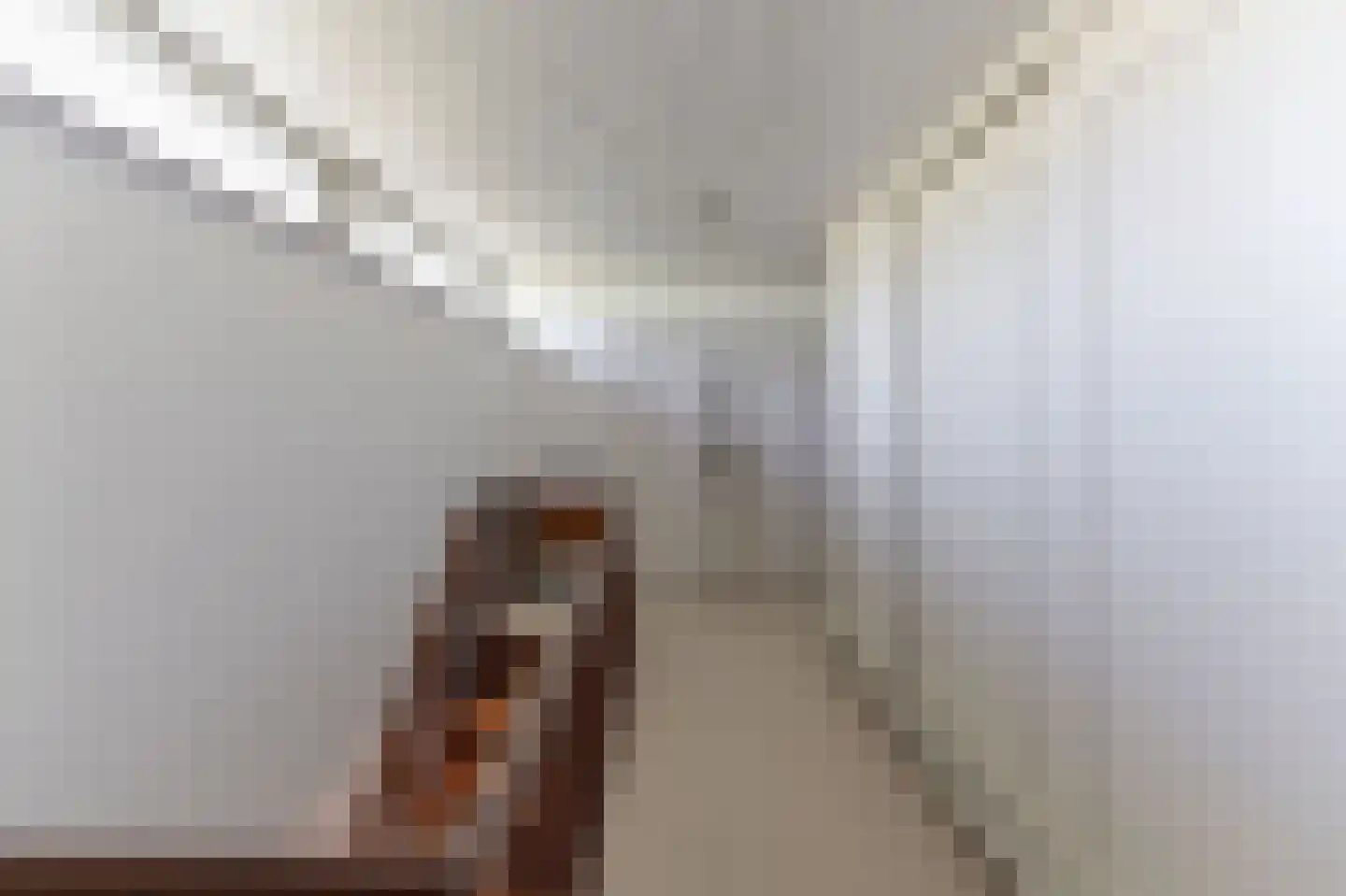 Kasteellaan 22 Tegelen thumbnail 24
