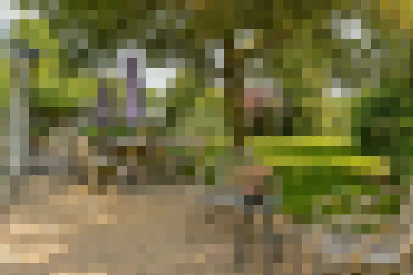 Kasteellaan 22 Tegelen thumbnail 4
