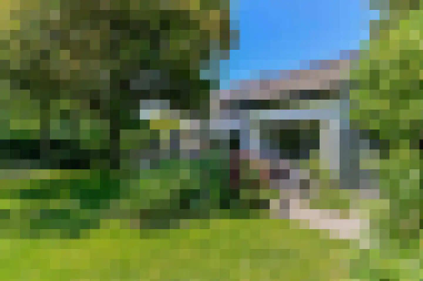 Kasteellaan 22 Tegelen thumbnail 5