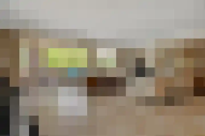 Kasteellaan 26 B Wijchen thumbnail 17