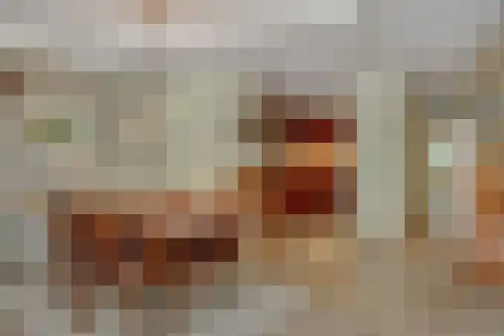 Kasteellaan 26 B Wijchen thumbnail 22