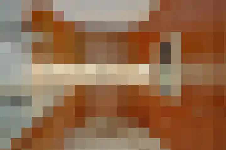 Kasteellaan 26 B Wijchen thumbnail 26