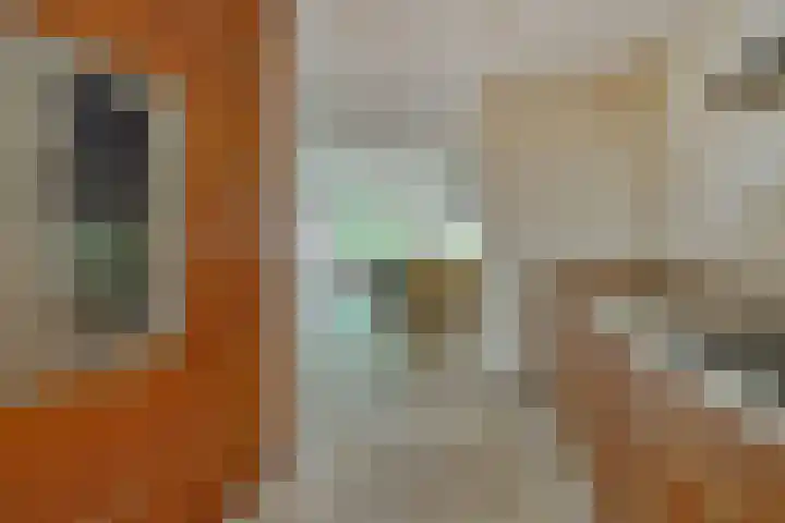 Kasteellaan 26 B Wijchen thumbnail 28