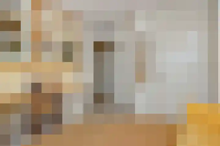 Kasteellaan 26 B Wijchen thumbnail 33