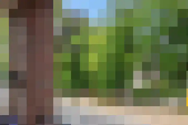 Kasteellaan 26 B Wijchen thumbnail 37