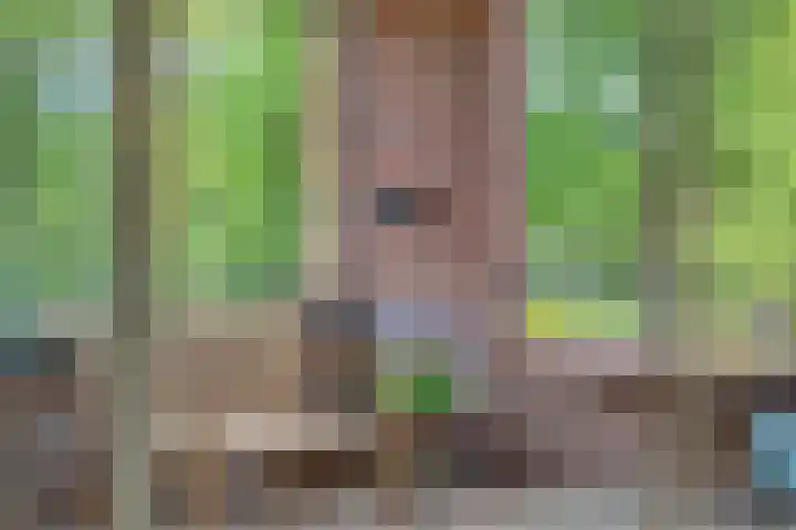 Kasteellaan 26 B Wijchen thumbnail 38