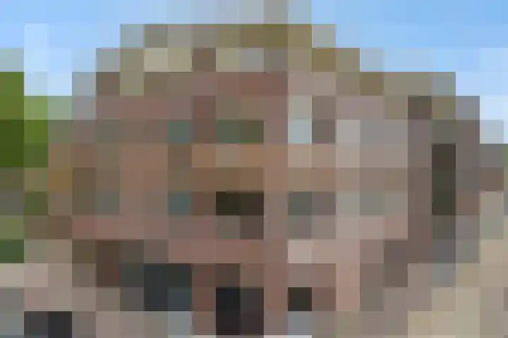 Kasteellaan 26 B Wijchen thumbnail 4