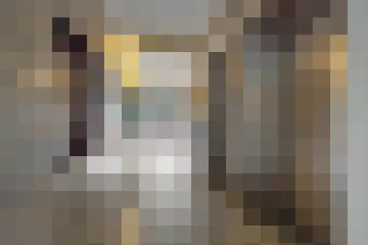 Kasteellaan 26 B Wijchen thumbnail 7