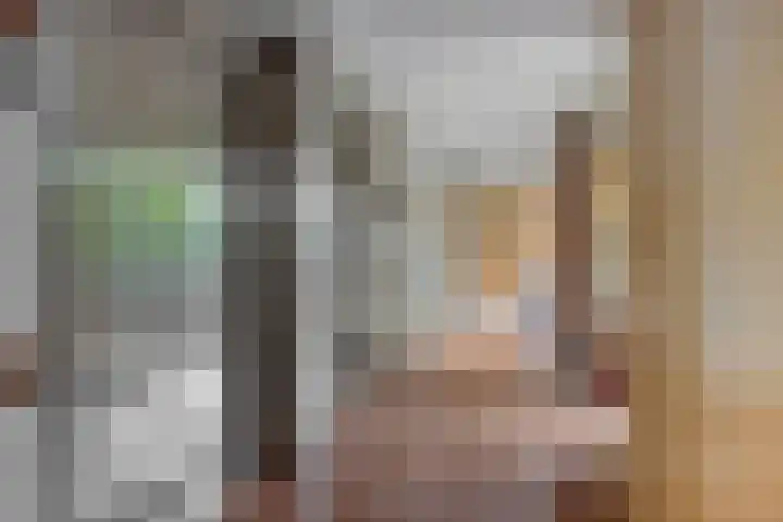 Kasteellaan 26 B Wijchen thumbnail 9