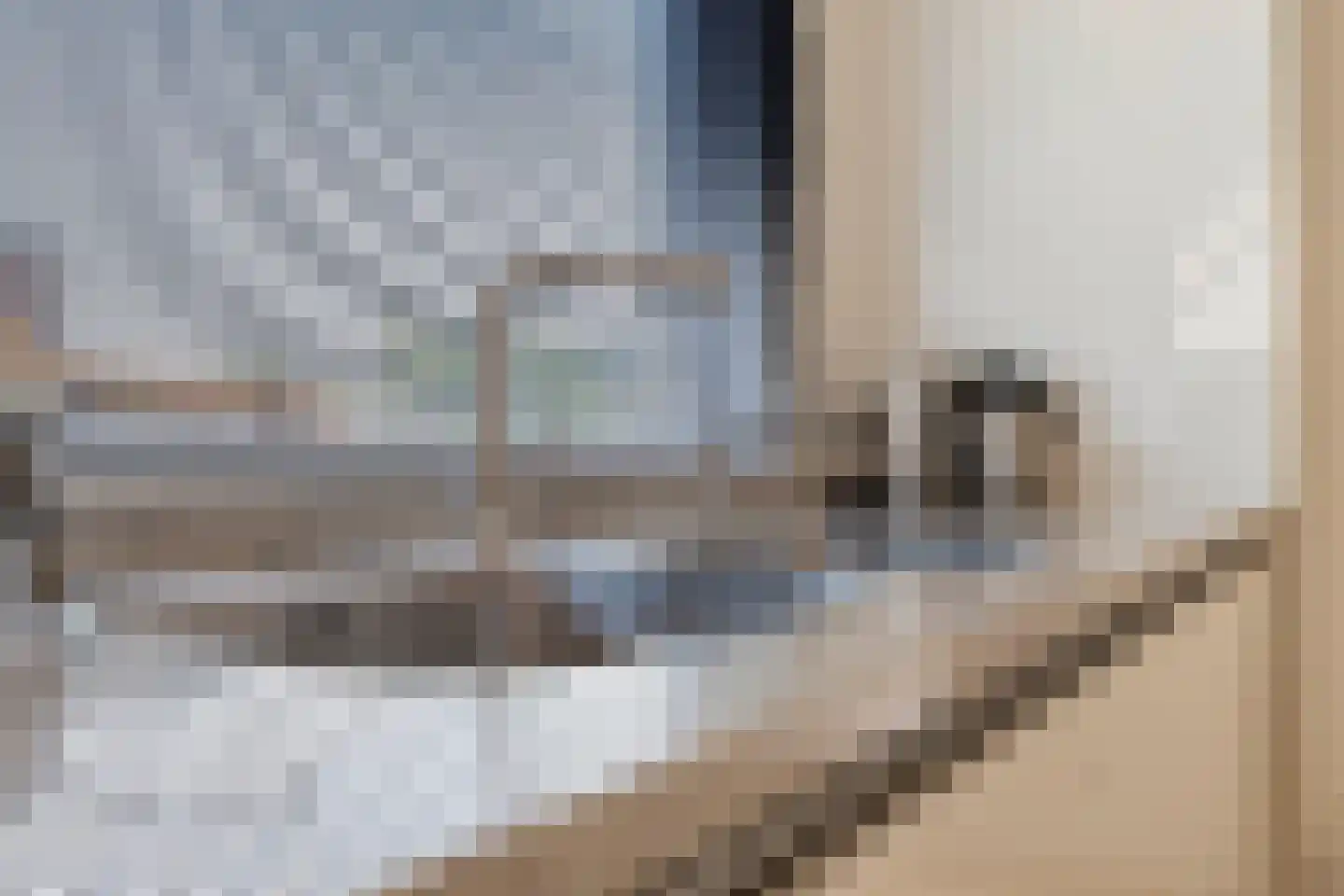Kasteellaan 26 Baarlo thumbnail 12