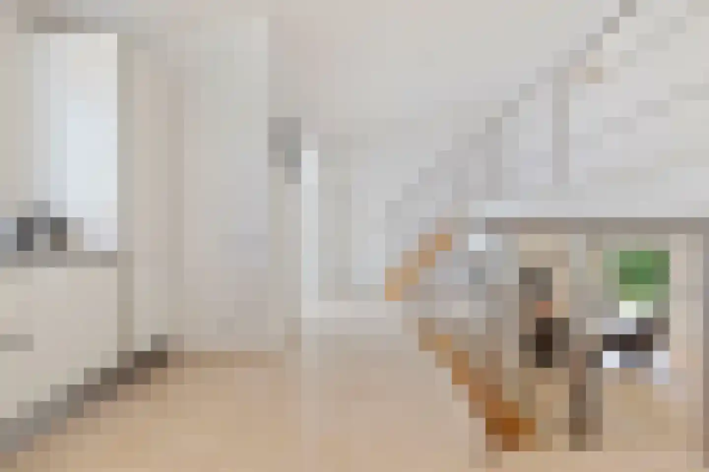 Kasteellaan 26 Baarlo thumbnail 13