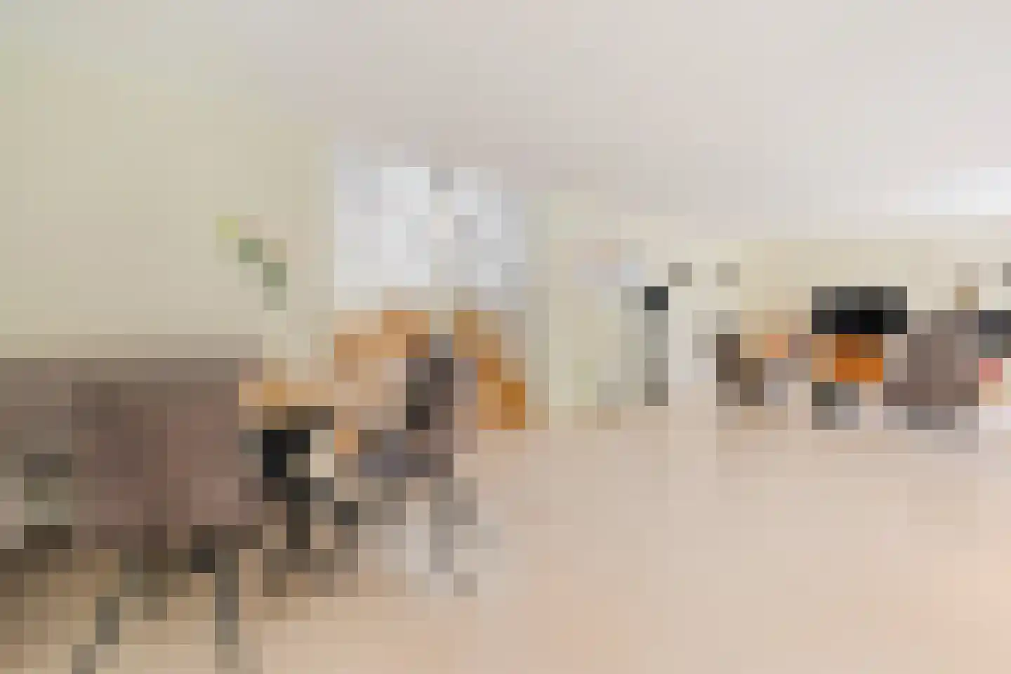 Kasteellaan 26 Baarlo thumbnail 18