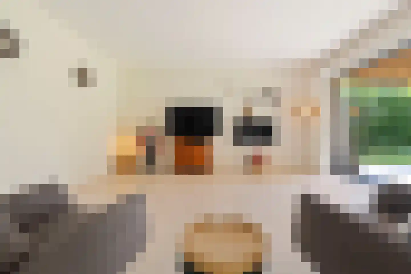 Kasteellaan 26 Baarlo thumbnail 19