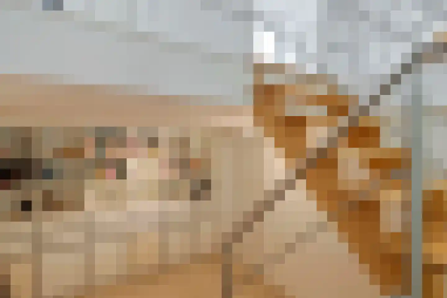 Kasteellaan 26 Baarlo thumbnail 23
