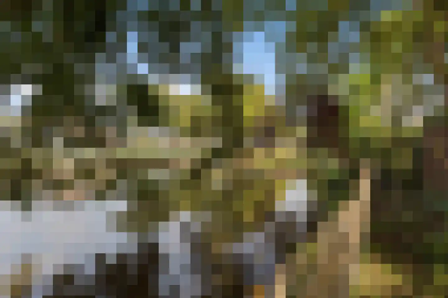 Kasteellaan 26 Baarlo thumbnail 48