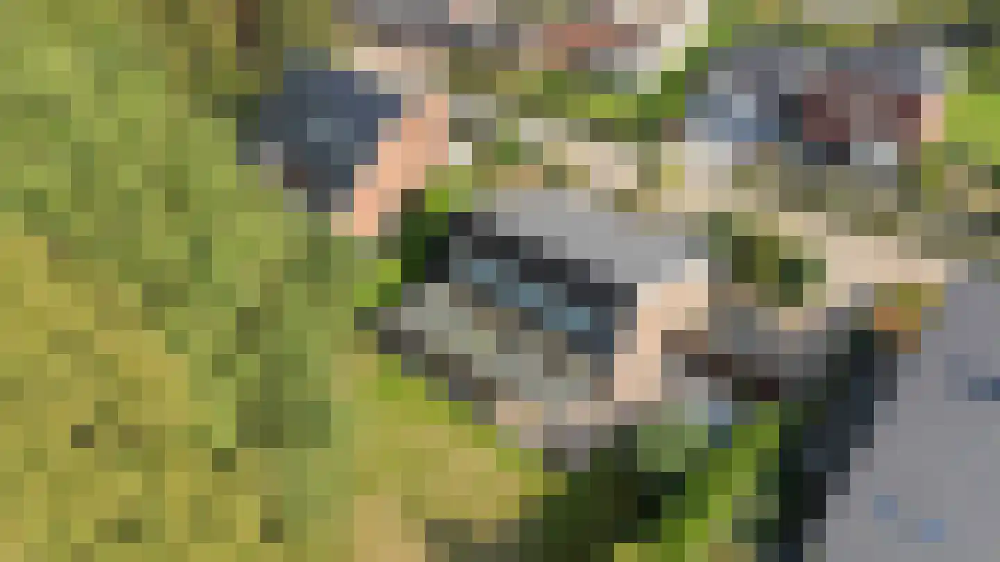 Kasteellaan 26 Baarlo thumbnail 50