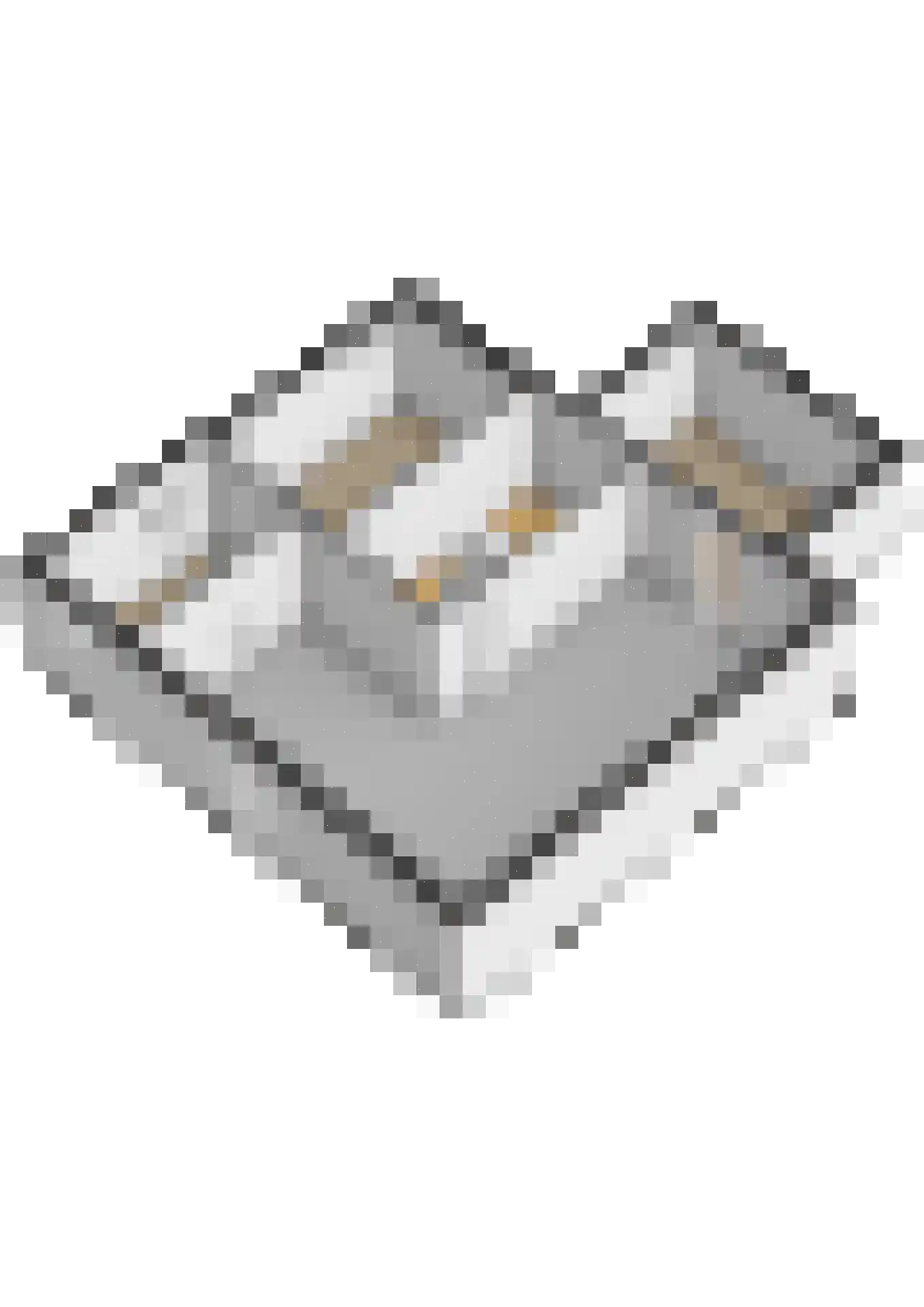 Kasteellaan 26 Baarlo thumbnail 60