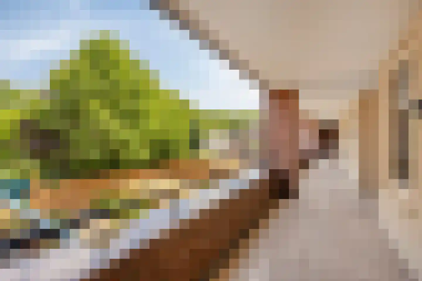 Kasteellaan 26 F Wijchen thumbnail 28
