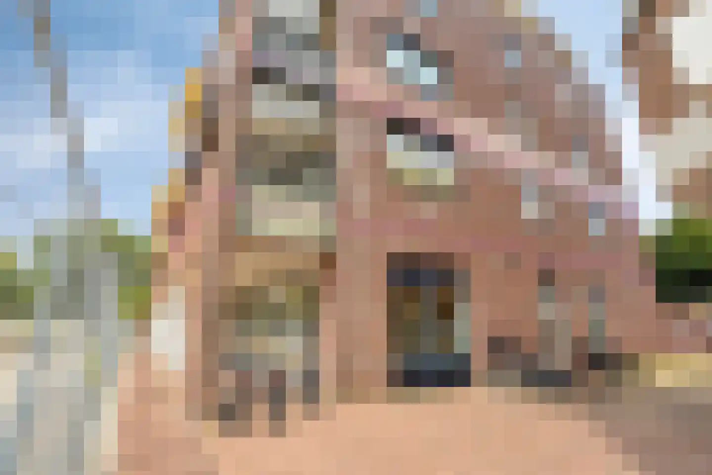 Kasteellaan 26 F Wijchen thumbnail 39