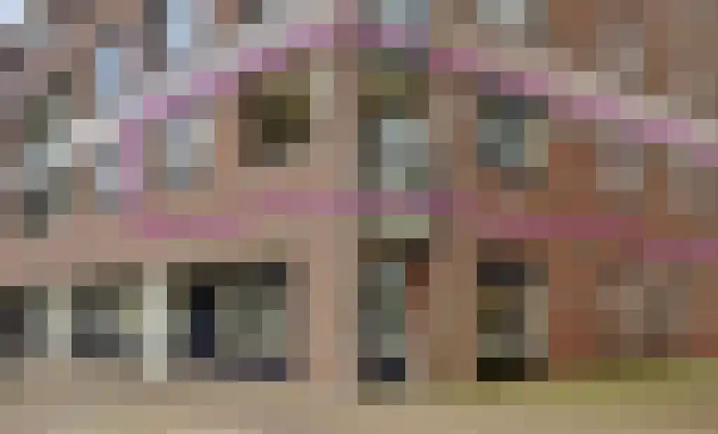 Kasteellaan 26 F Wijchen thumbnail 40