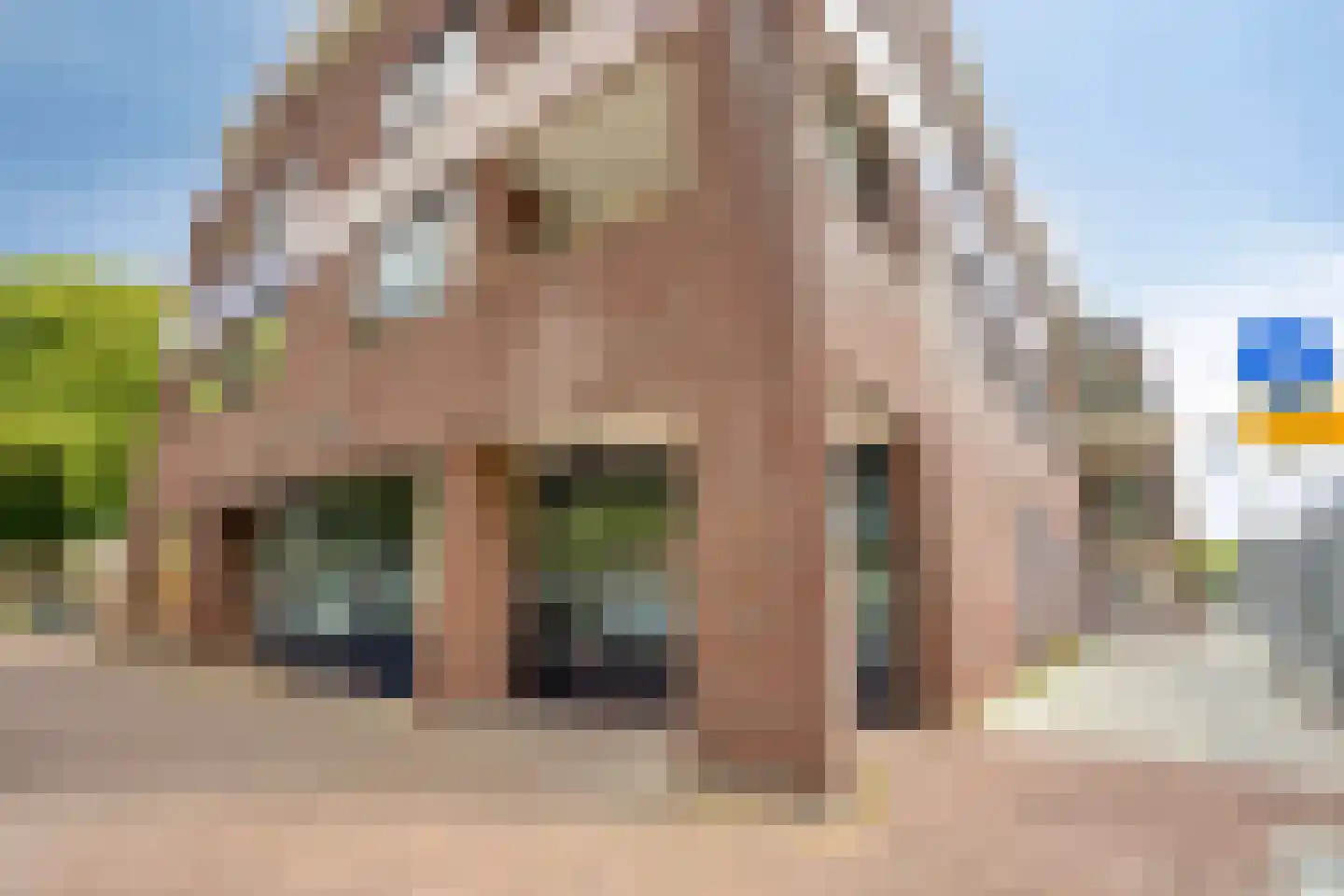 Kasteellaan 26 F Wijchen thumbnail 41