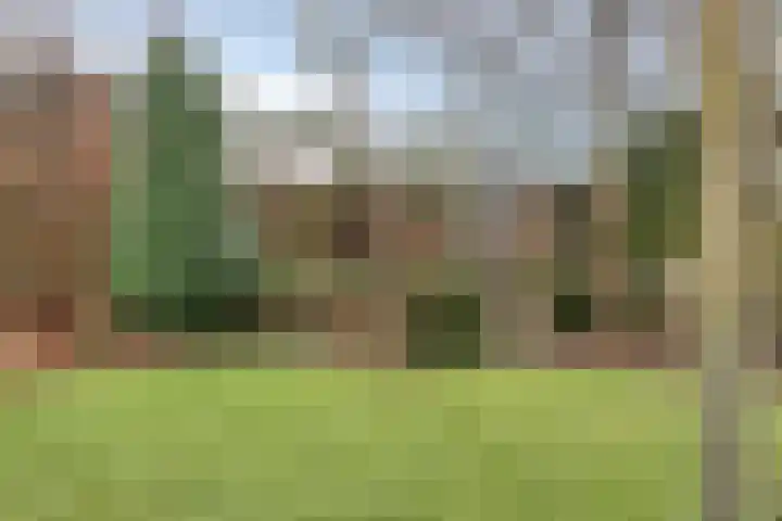 Kasteellaan 26 N Wijchen thumbnail 25