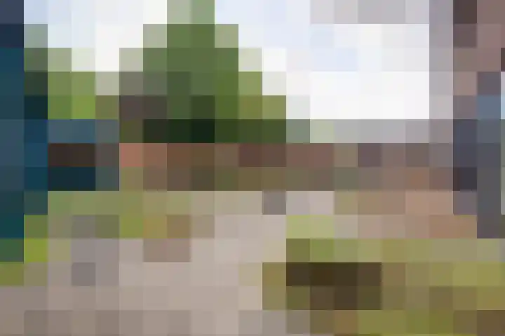 Kasteellaan 26 N Wijchen thumbnail 29