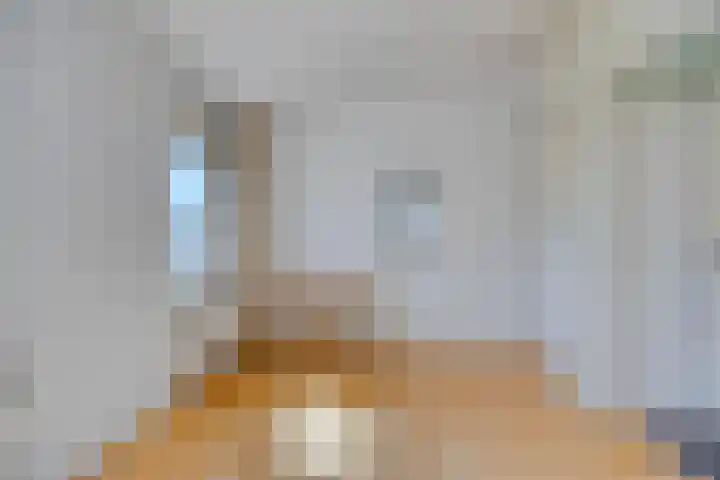 Kasteellaan 26 W Wijchen thumbnail 17