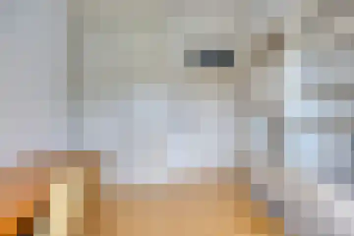 Kasteellaan 26 W Wijchen thumbnail 23