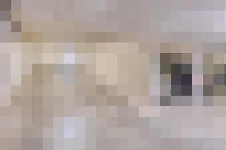 Kasteellaan 26 W Wijchen thumbnail 31