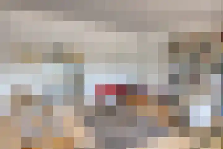 Kasteellaan 26 W Wijchen thumbnail 5