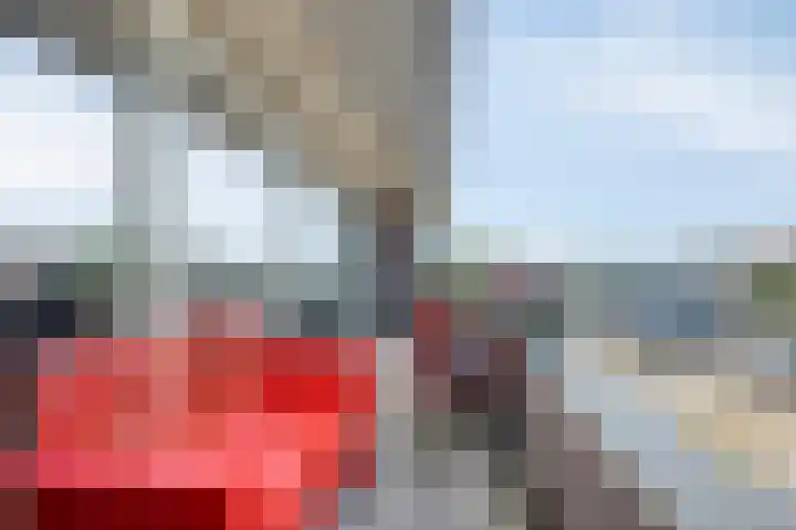 Kasteellaan 26 W Wijchen thumbnail 7
