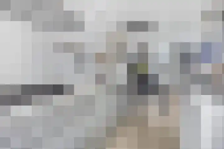 Kasteellaan 29 Buren thumbnail 10