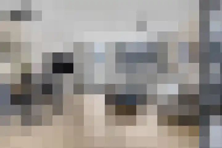 Kasteellaan 29 Buren thumbnail 11