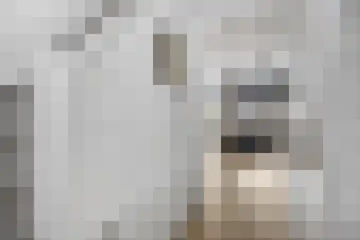 Kasteellaan 29 Buren thumbnail 18