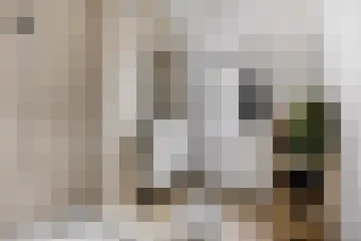 Kasteellaan 29 Buren thumbnail 22