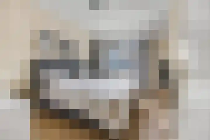 Kasteellaan 29 Buren thumbnail 24