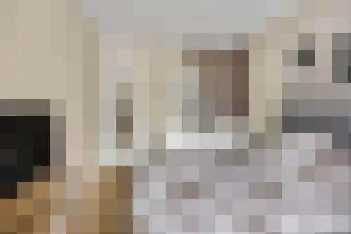 Kasteellaan 29 Buren thumbnail 25