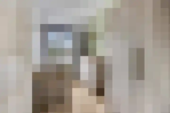 Kasteellaan 29 Buren thumbnail 31