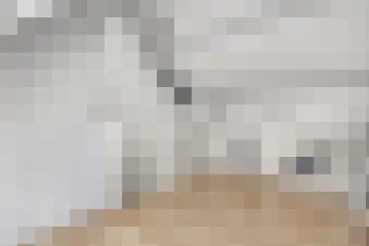 Kasteellaan 29 Buren thumbnail 35