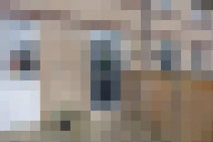 Kasteellaan 29 Buren thumbnail 42