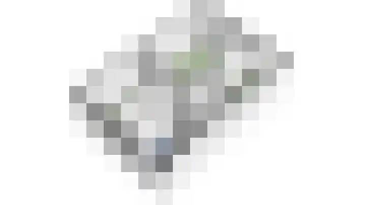 Kasteellaan 29 Buren thumbnail 50