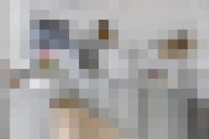 Kasteellaan 29 Buren thumbnail 7
