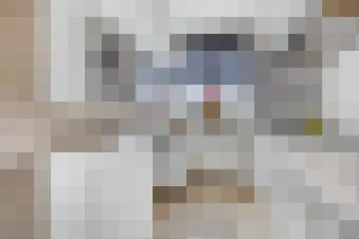Kasteellaan 29 Buren thumbnail 8